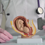 Dra. Thaline Neves utiliza a medicina fetal para oferecer diagnósticos precisos, trazendo esperança e cuidado para gestantes e seus bebês.