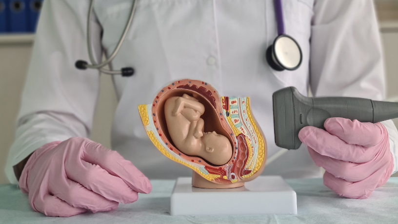 Dra. Thaline Neves utiliza a medicina fetal para oferecer diagnósticos precisos, trazendo esperança e cuidado para gestantes e seus bebês.