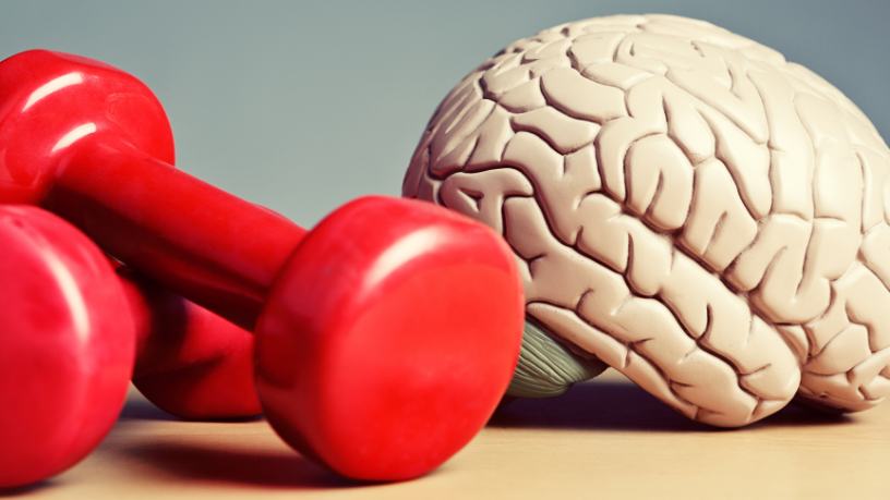 Gustavo Luíz Guilherme Pinto explica como a qualidade do sono fortalece o corpo e equilibra a saúde mental.