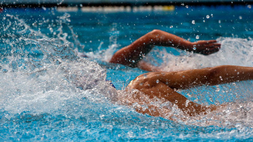 Luciano Colicchio Fernandes