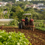 Trator agrícola trabalhando em área de produção rural de Campo Grande, sem textos ou logotipos visíveis