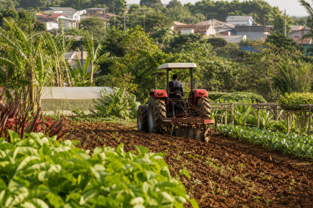 Trator agrícola trabalhando em área de produção rural de Campo Grande, sem textos ou logotipos visíveis